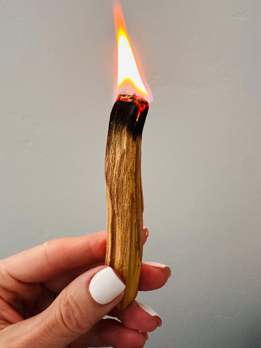 Palo Santo Stick